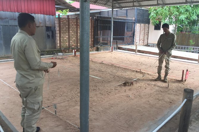 Private Tour: HERO Rats & Angkor National Museum - Angkor National Museum: Khmer artifacts, and why closure can change your day