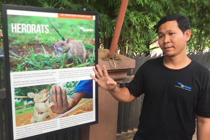 Private Tour: HERO Rats & Angkor National Museum - Price and value: what $85 buys you in real terms