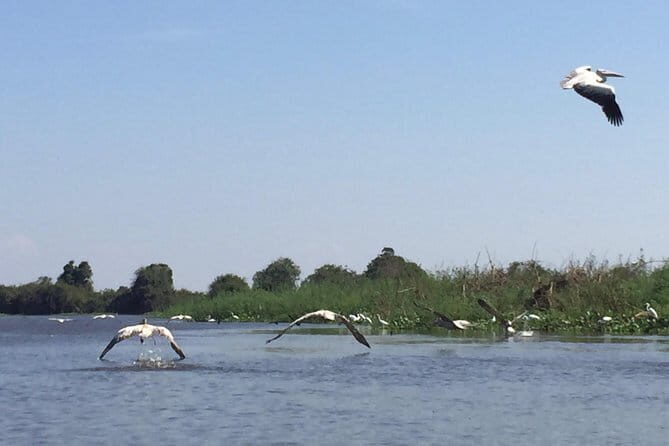 Private Tour Prek Toal Bird Sanctuary Off Beaten Track - Price and Value for a Private Group Up to 4