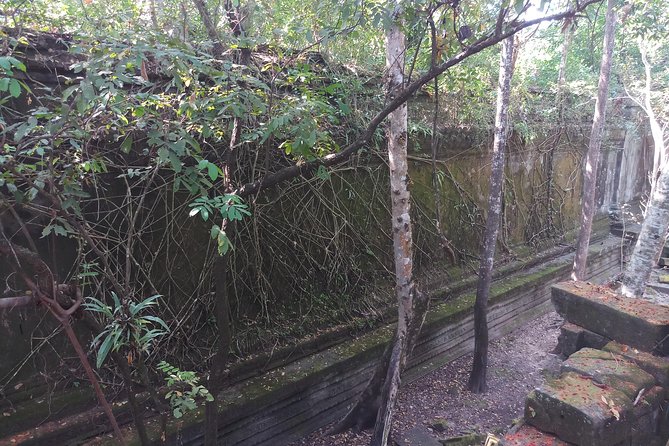 Private Tour to Beng Mealea Jungle Temple and Koh Ker - The countryside stops that make it feel like Cambodia, not just temples