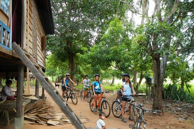 Rice Fields & Rural Villages Tour - Tonle Sap bird watching: the quiet part of the day