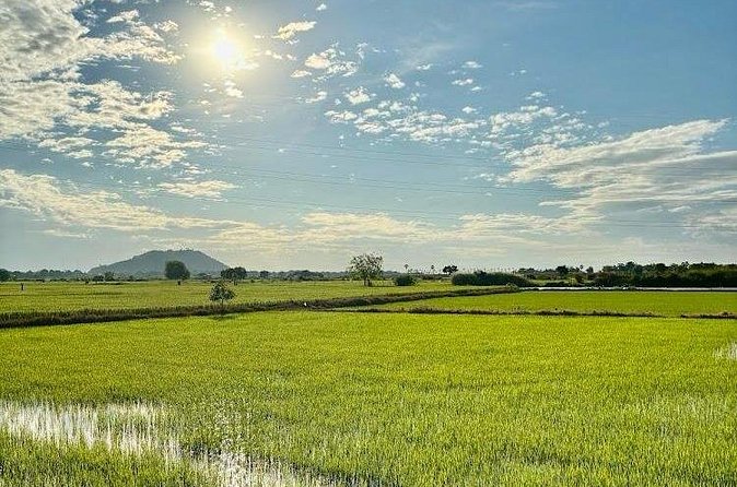 Rural Countryside Experience Tour in Siem Reap - A Buddhist temple stop for a slower pace