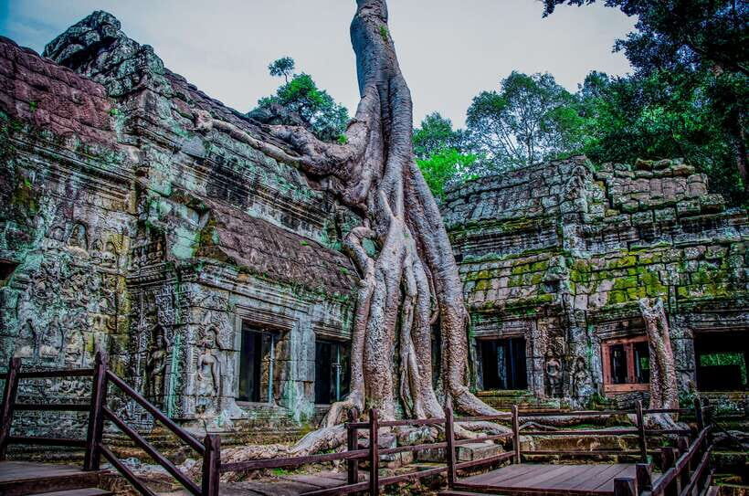 Seat-In-Coach: Small Circuit tour with Sunrise at Angkor Wat - Should you book this sunrise to Ta Prohm circuit?