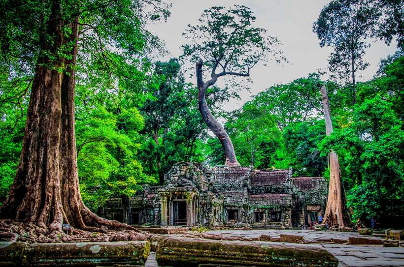 Seat-In-Coach: Small Circuit tour with Sunrise at Angkor Wat - Ta Prohm: jungle vines, stone roots, and Tomb Raider fame