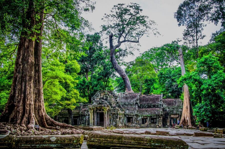 Seat-In-Coach: Small Circuit tour with Sunrise at Angkor Wat - Guide impact: what you’re really paying for
