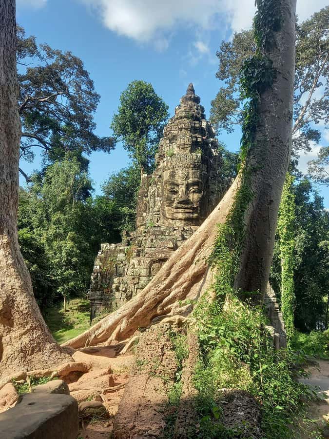 Shared day tour with Spanish-speaking guide at Angkor Temple. - From Siem Reap Pickup to Angkor Thom’s South Gate