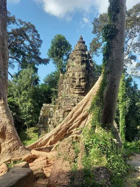Shared day tour with Spanish-speaking guide at Angkor Temple. - Ta Prohm: The Jungle Temple That Feels Unfinished