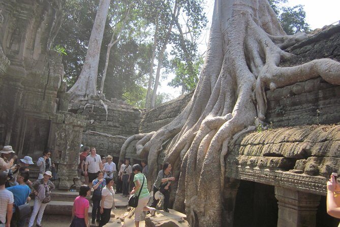 Shared Tour to Angkor Wat, Bayon and Ta Prohm Temples - Pickup comfort in Siem Reap: tuk-tuk, minivan, and bottled water