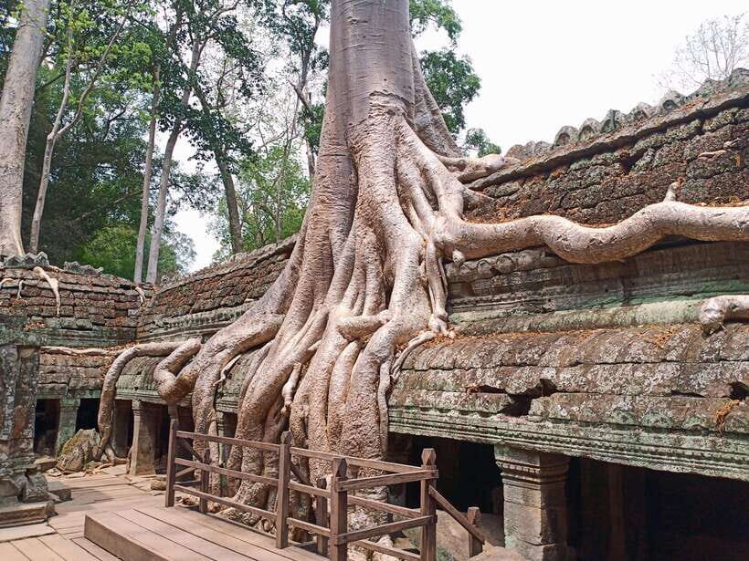 Sharing Trip to Angkor Temple with sunset - Why Angkor timing (and heat) make or break your day