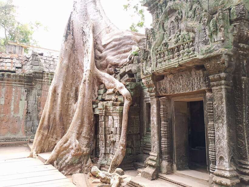 Sharing Trip to Angkor Temple with sunset - Food and breaks: what to expect when lunch isn’t included