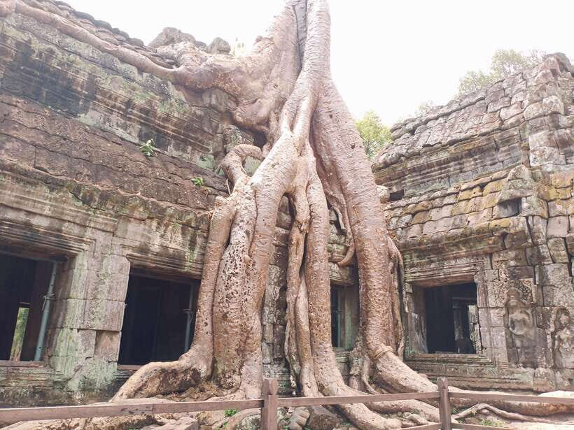Sharing Trip to Angkor Temple with sunset - Price and value: $19 tour vs $37 temple ticket