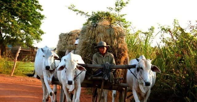 Siem Reap: 3-Hour Ancient Trails Motorbike Tour - Motorbike training that actually matters for first-timers
