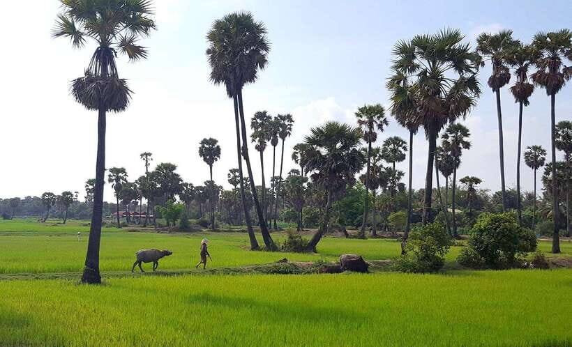 Siem Reap: 6-Hour Easy Rider Motorbike Tour - The Route: Rice Fields, Red Clay, and an Angkor-Era Bridge