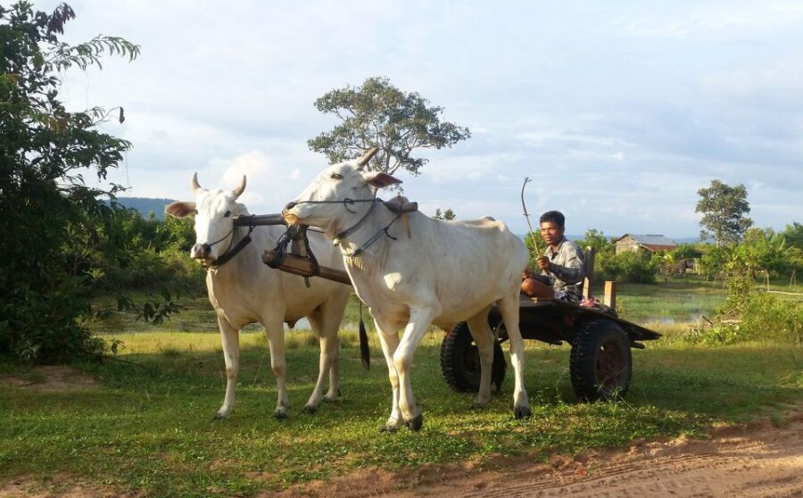 Siem Reap: 6-Hour Easy Rider Motorbike Tour - Price and Value: What You’re Really Paying For