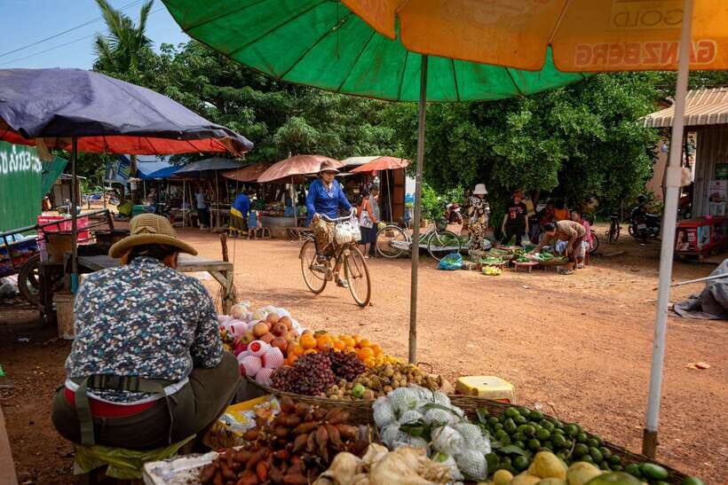Siem Reap: Afternoon Cooking Class & Village Tour - Why this Siem Reap afternoon class is more than just cooking