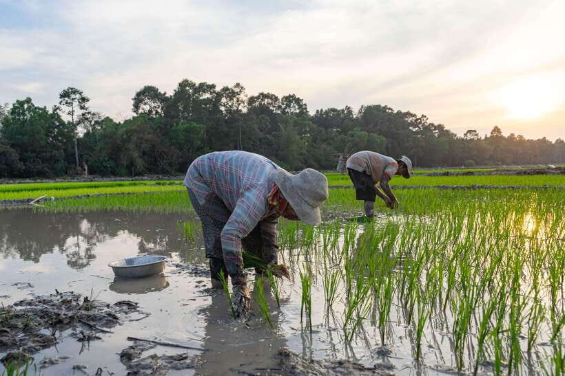 Siem Reap: Afternoon Cooking Class & Village Tour - The recipe book: your at-home follow-through plan