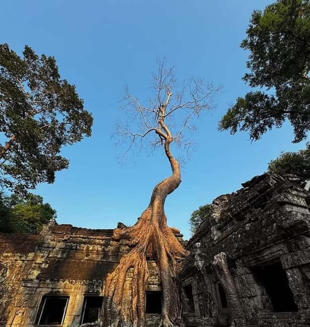 Siem Reap: Angkor 1-Day Private Tour with Sunset or Sunrise - Private pickup in Siem Reap: the easiest way to start Angkor