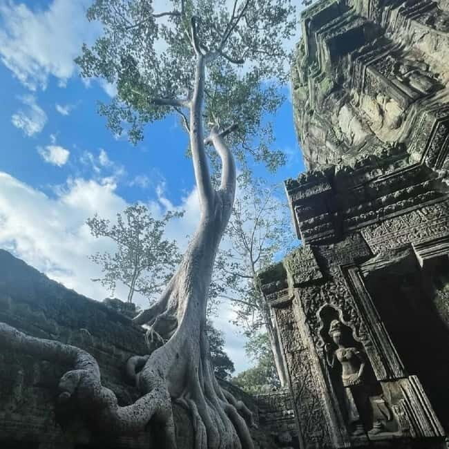 Siem Reap: Angkor 1-Day Private Tour with Sunset or Sunrise - Lunch, heat, and the pacing that keeps the day fun