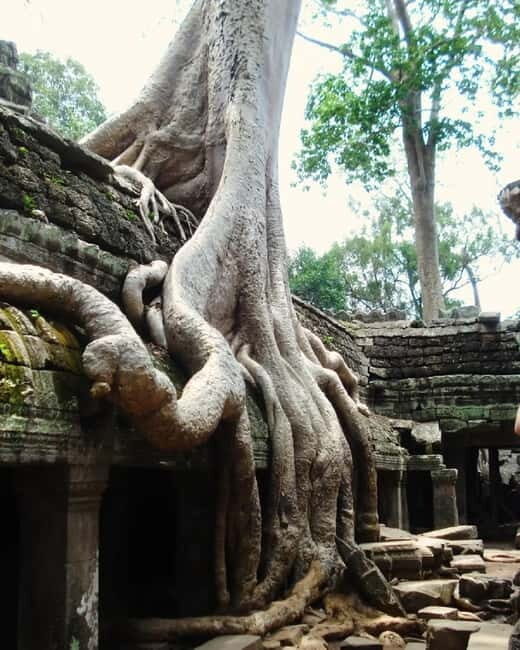 Siem Reap: Angkor 1-Day Private Tour with Sunset or Sunrise - Hidden photo spots and “help me take the right picture” service