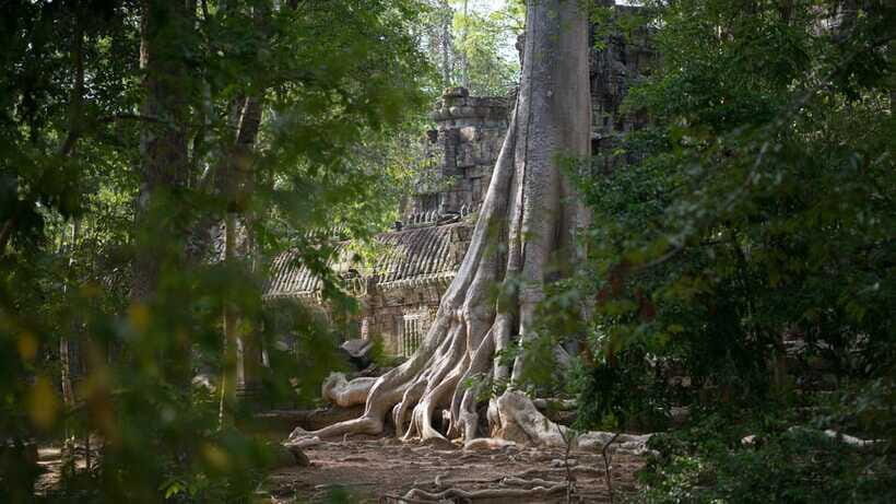 Siem Reap: Angkor Temples Off-Track Bicycle Tour - Lunch in the Jungle: Where the Day Powers Up
