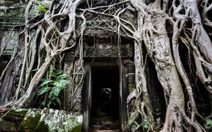 Siem Reap: Angkor Temples Tour - Shared Tours tours guide - Lunch Break and Moving to Angkor Wat: A Midday Reset With a Purpose