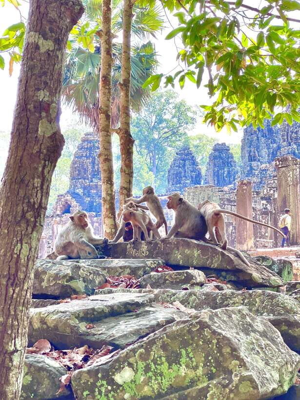 Siem Reap: Angkor Wat Private full Day Tour - Who should book this private Angkor day