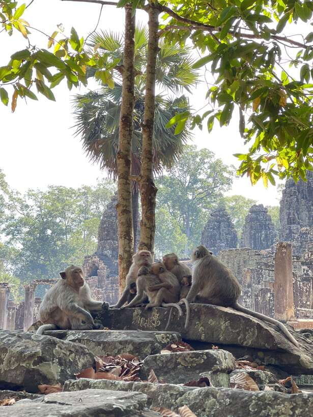 Siem Reap: Angkor Wat Private full Day Tour - Price and value: what $57 covers, and what you’ll pay on top