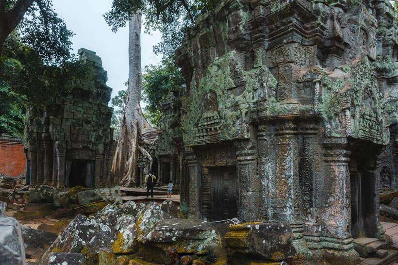 Siem Reap: Angkor Wat Small-Group Full Day Tour and Sunset - Ta Prohm: When Trees and Roots Take the Wheel