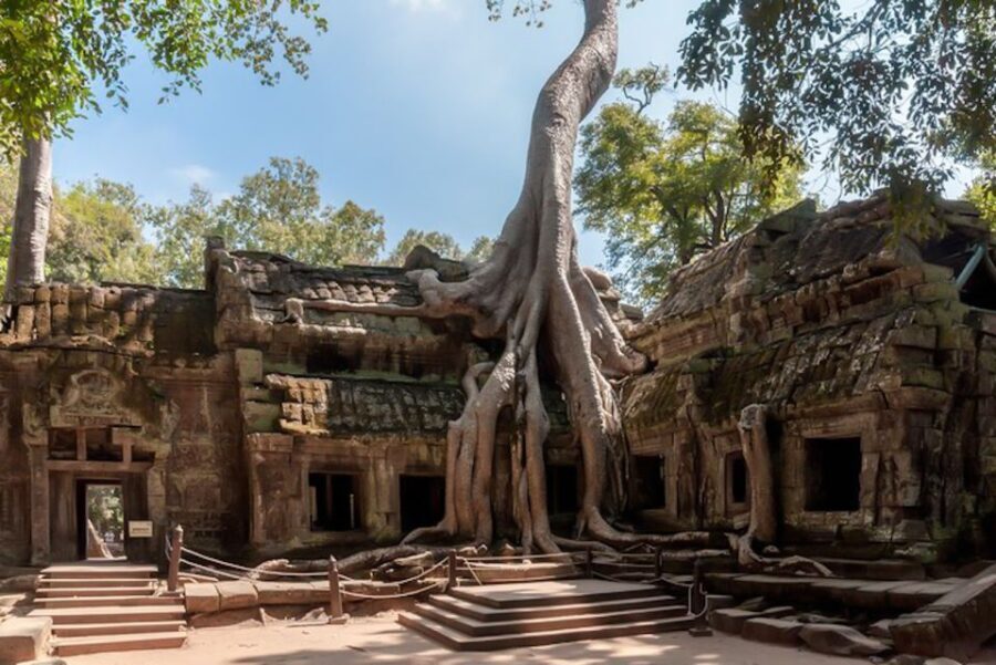 Siem Reap: Angkor Wat Sunrise and Full-Day Sightseeing Tour - Ta Prohm: The Tomb Raider temple, minus the chaos