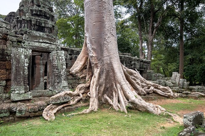 Siem Reap: Angkor Wat Sunrise Bike Tour & Jungle Breakfast - Who This Tour Suits Best (and Who Might Want a Different Option)