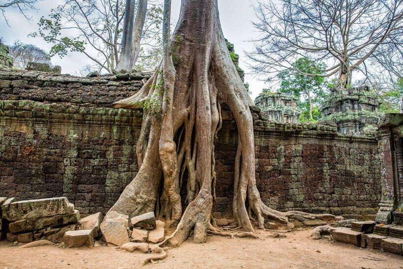 Siem Reap: Angkor Wat Sunrise Tour With Small Group - Price and real value: what $12 buys you (and what it doesn’t)
