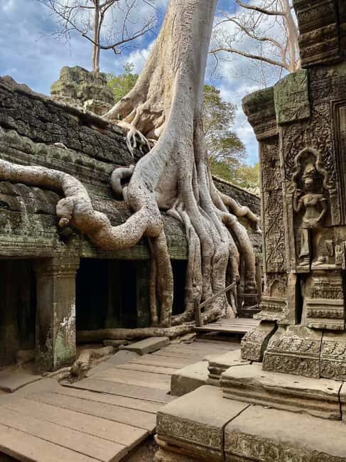 Siem Reap: Angkor Wat Tour with French-Speaking Guide - South Gate to Bayon: The Angkor Thom Morning Route