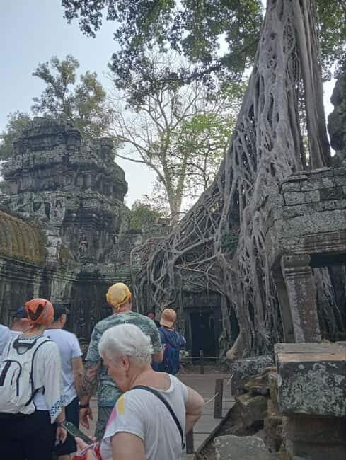 Siem Reap: Angkor Wat Tour with Italian-Speaking Guide - Transport choices you’ll actually feel during the day