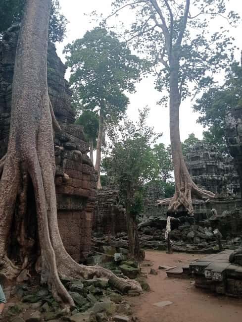 Siem Reap: Angkor Wat Tour with Italian-Speaking Guide - What your guide does beyond pointing: timing, photos, and pacing