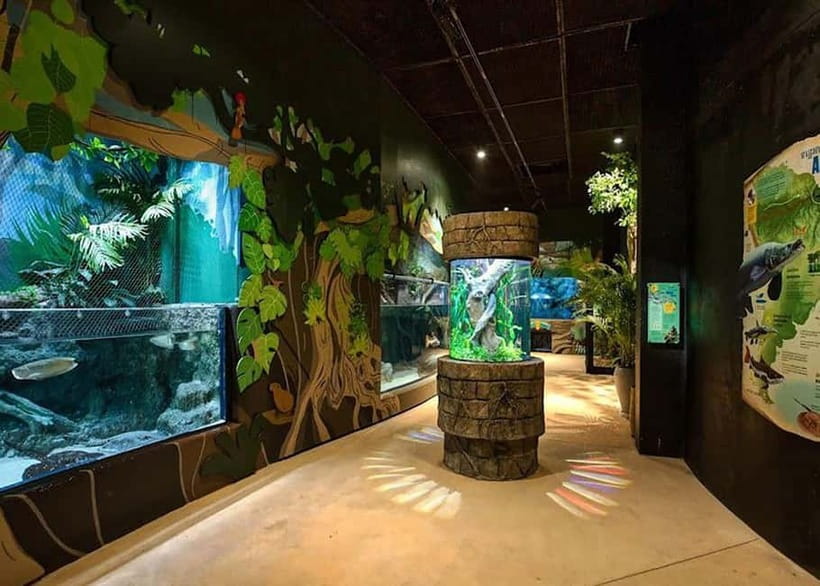 Siem Reap: Angkor Wildlife & Aquarium Entrance Ticket - Wildlife sanctuary walk: rescued otters, reptiles, and Cambodia-native birds