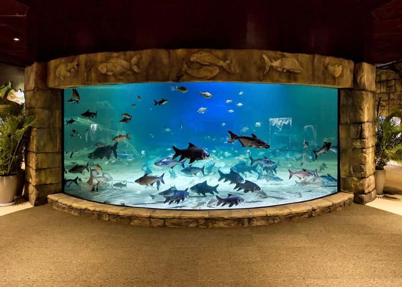 Siem Reap: Angkor Wildlife & Aquarium Entrance Ticket - Shuttle schedule from Ibis Styles, The Heritage Walk, and Angkor Enterprise