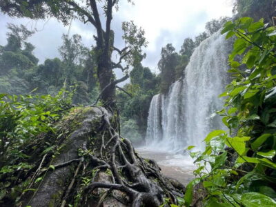 Siem Reap: Beng Mealea, Banteay Srei & Kulen Waterfall Trip - Morning Pickup, Fruit Testing, and What the First Hour Really Feels Like