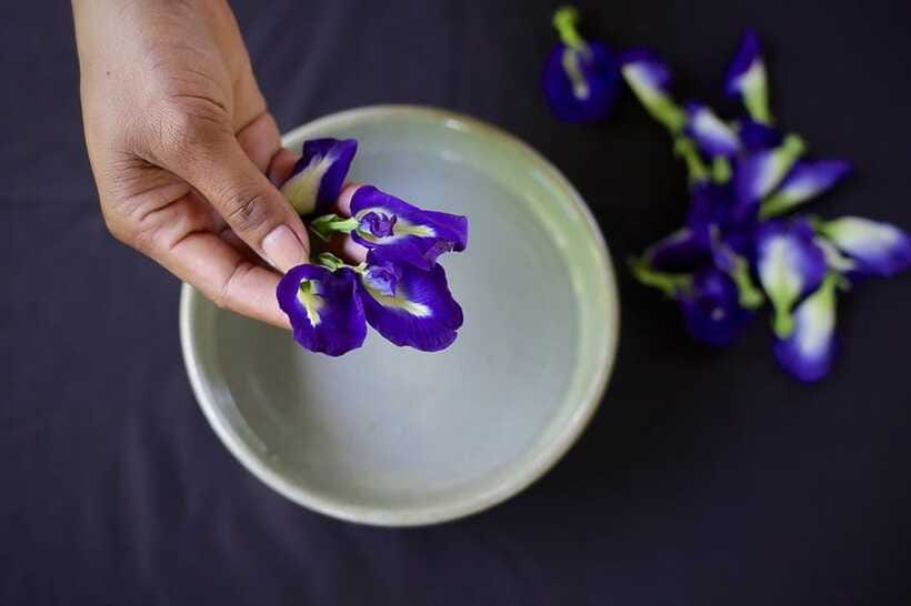 Siem Reap: Cambodian Desserts Cooking Lesson with Tastings - Price and timing: is $32 worth it?