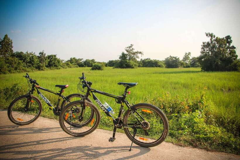 Siem Reap: Countryside Cycle and Local Village Life Tour - Village roads and village life: what you’re really there to notice