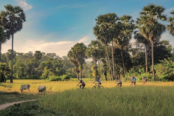 Siem Reap Countryside Guided Tour by Bike and E-Bike Private Tour - Key things to know before you go