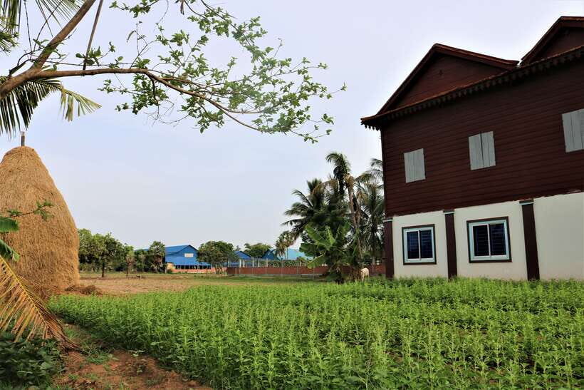 Siem Reap: Countryside Quad Bike Sunset Adventure - Who this tour suits best (and who should skip it)