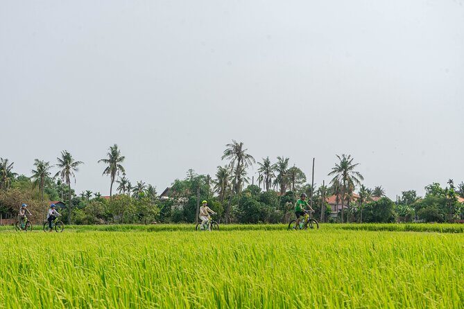 Siem Reap Countryside Sunset Bike Tour / E-Bike or Tuk Tuk - Key highlights worth packing your energy for