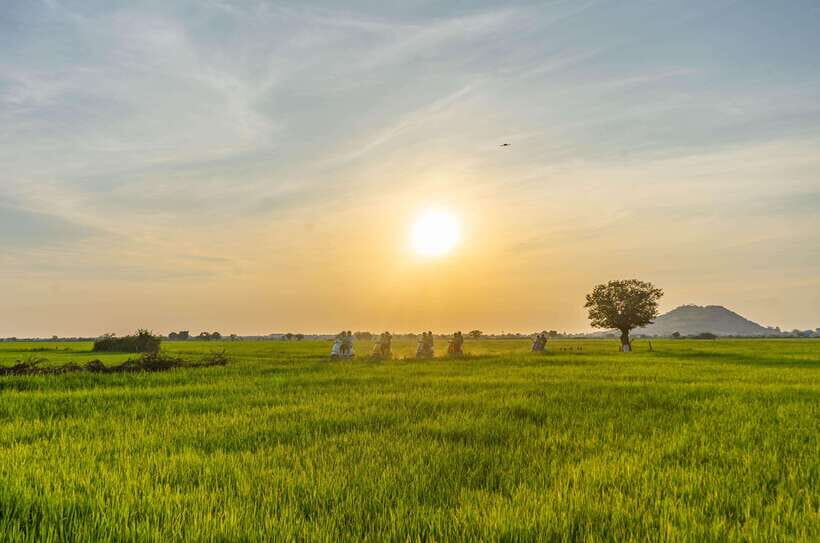 Siem Reap Countryside Sunset Vespa Tour or Tuk Tuk - Chreav Market: the smells, the pace, and the daily purchases