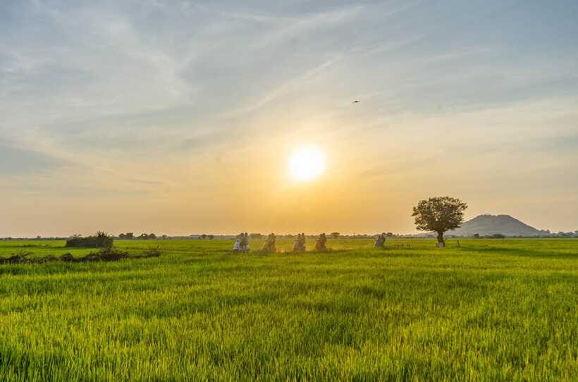 Siem Reap Countryside Sunset Vespa Tour or Tuk Tuk - Sra Sor rice wine at the winery stop: the tasting with a story