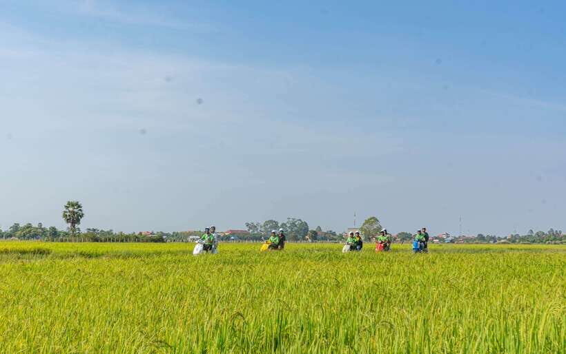 Siem Reap Countryside Sunset Vespa Tour or Tuk Tuk - What you’re really paying for: value at $24
