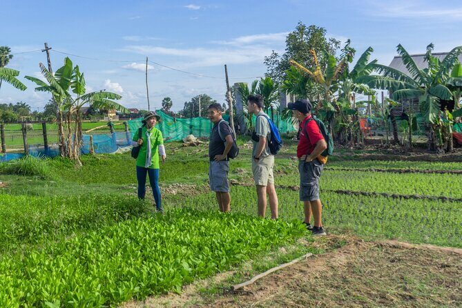 Siem Reap Countryside Sunset Vespa Tour / Tuk Tuk Available - Stop 2: Chreav Village Break (Rural Life in Plain Terms)