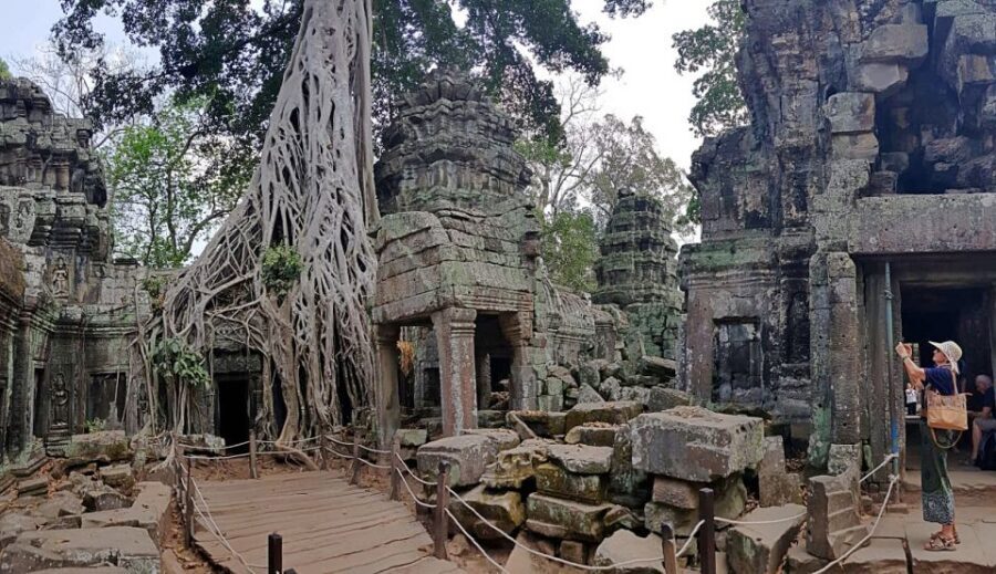 Siem Reap - Discover Angkor Wat by Jeep - Ta Prohm: Tomb Raider vibes, with less guesswork