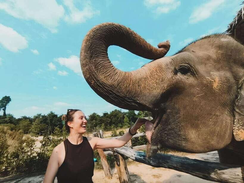 Siem Reap: Elephant Sanctuary Included Hotel Pickup Drop-off - The Sanctuary Arrival: Safety Briefing, Walk, and Wildlife Viewing