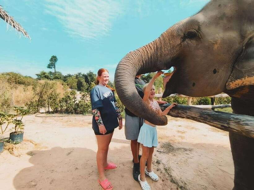Siem Reap: Elephant Sanctuary Included Hotel Pickup Drop-off - Mud Bath and Bathing Session: The Fun Part, with a Practical Purpose
