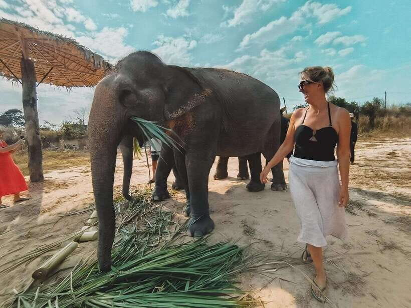 Siem Reap: Elephant Sanctuary Included Hotel Pickup Drop-off - Price and Value for $128: What You’re Really Paying For